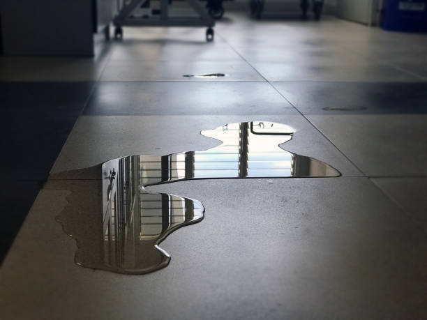 Best Water damage repair service  in St George, MO