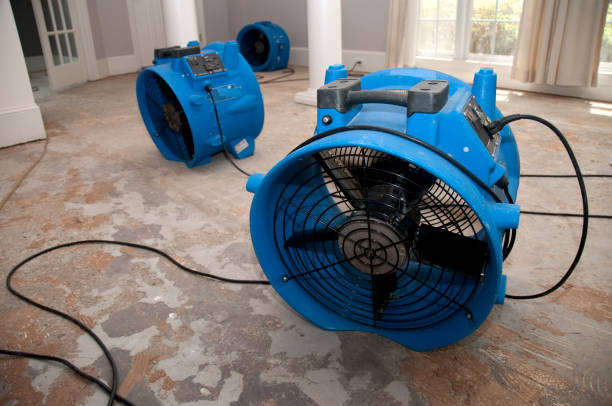 Best Water damage mitigation services  in St George, MO