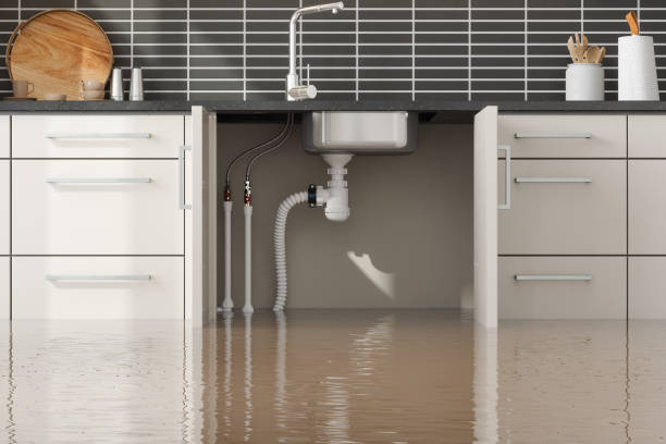 Best Water damage restoration near me  in St George, MO
